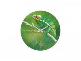 Часы настенные Nicole Time NT503 в Дорогино - dorogino.mebel-nsk.ru | фото