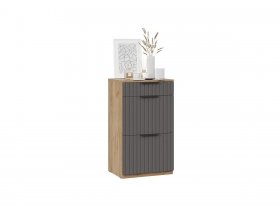 Тумба для обуви «Хилтон» - Исп.2.1 - 303.006.000 (дуб крафт золотой/графит матовый) в Дорогино - dorogino.mebel-nsk.ru | фото